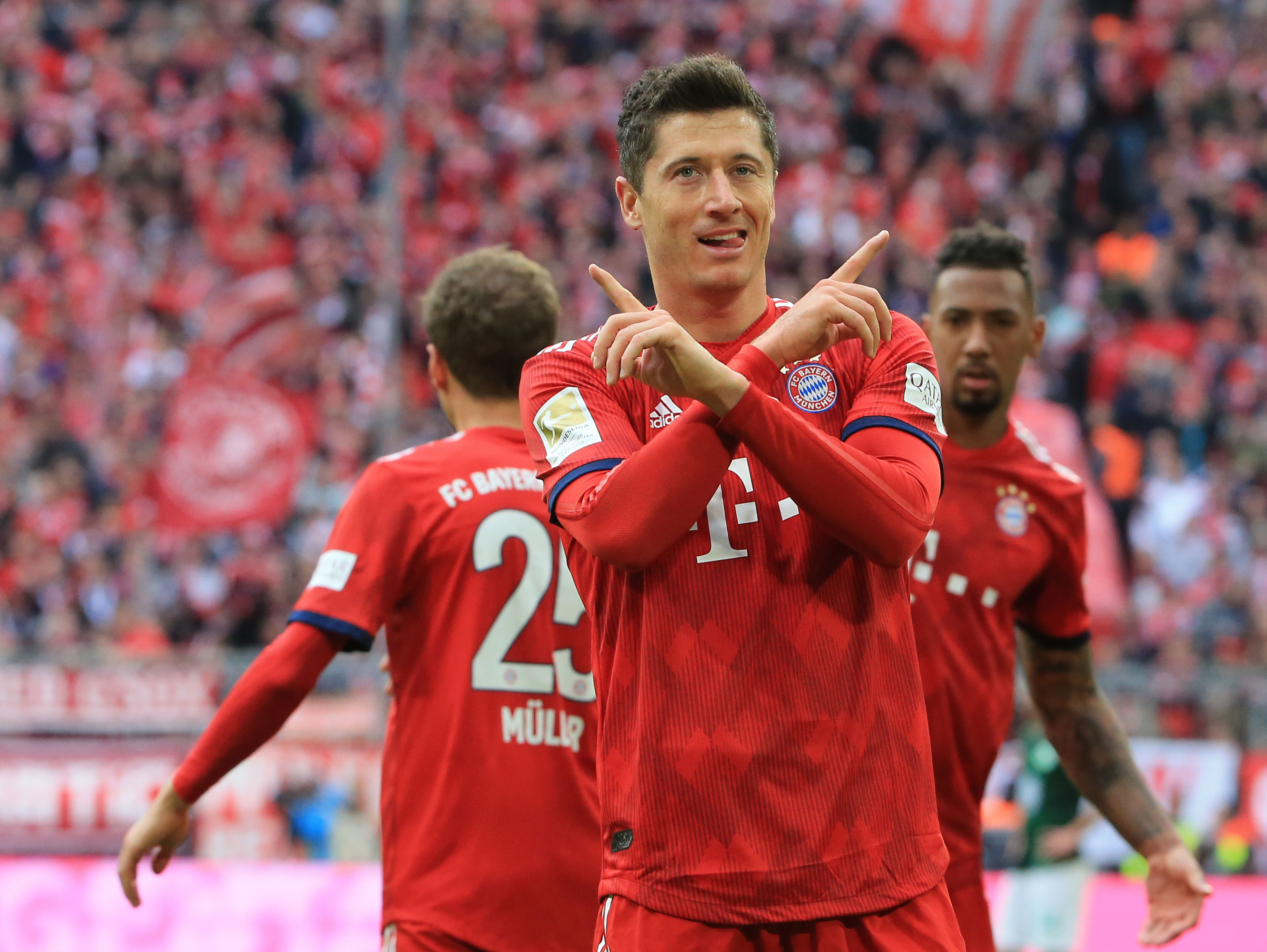 俱高的五大 俱高的五大