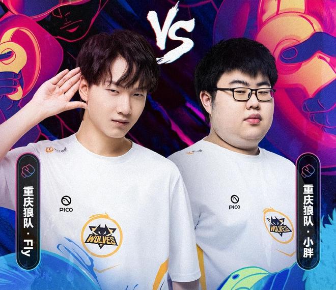 选手科内 选手科内